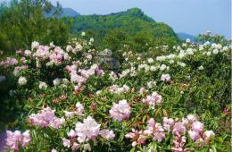 磨盤山國家森林公園